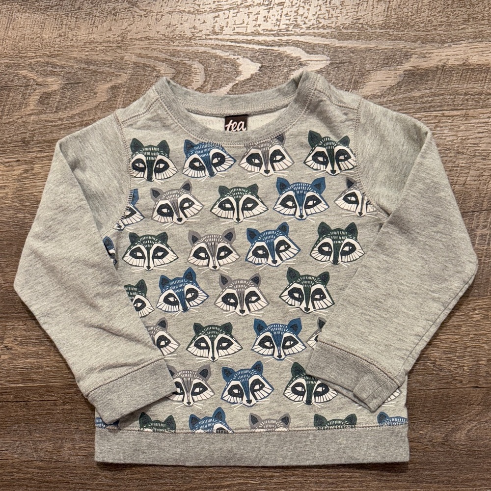 Tea Collection 100% Cotton Heather Grey Raccoon Graphic Pullover Sweatshirt
